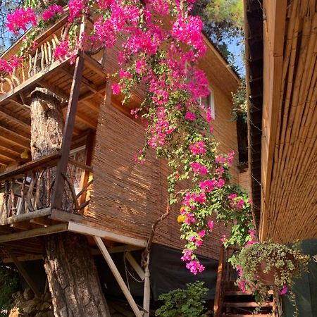 פאטהיה Large Bungalow With Sea View In Kabak Bay, Oeluedeniz מראה חיצוני תמונה
