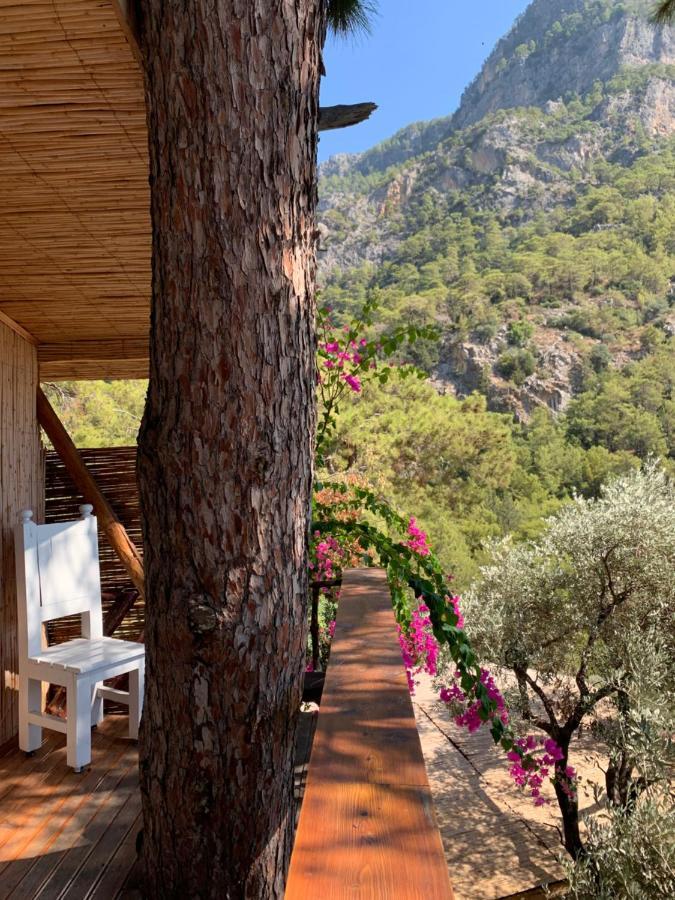 פאטהיה Large Bungalow With Sea View In Kabak Bay, Oeluedeniz מראה חיצוני תמונה